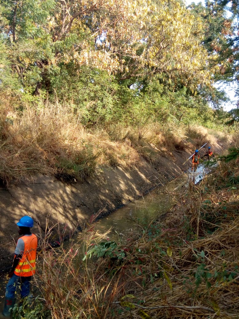Professional Surveying Team